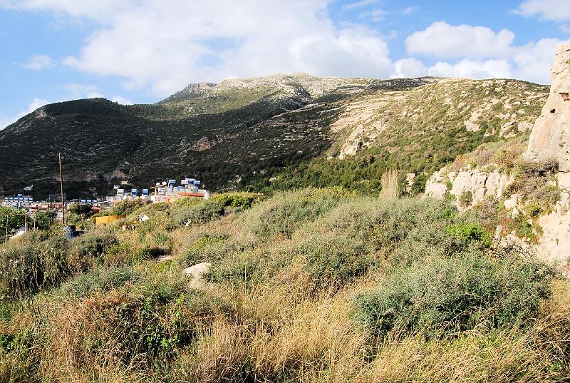 cos_0144.JPG