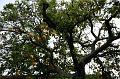 pgs_0354