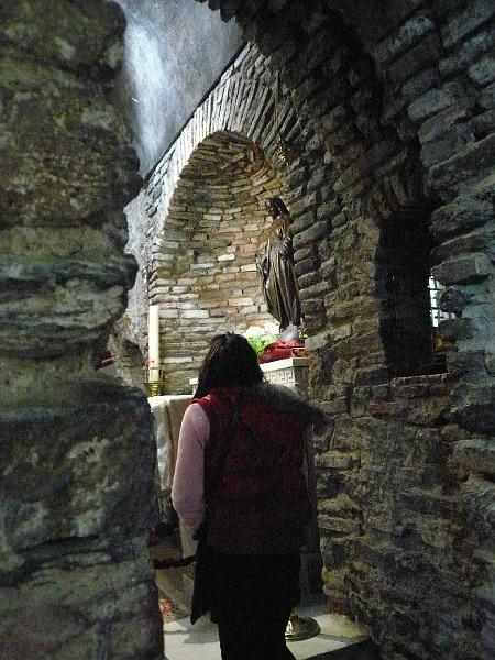 bgs_c564.JPG