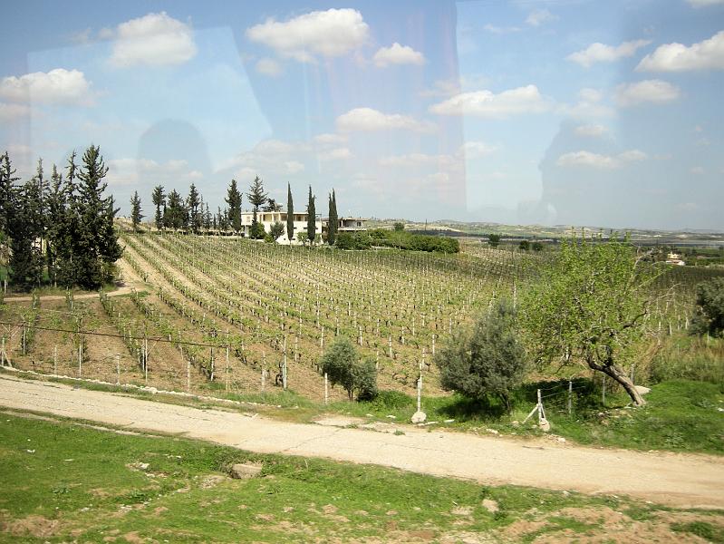 pgs_0793.JPG