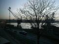 gbs_0937
