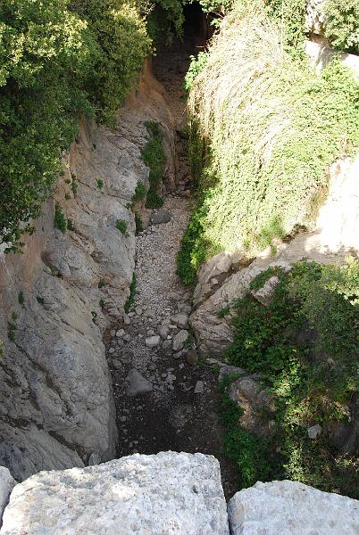 cos_0155.JPG