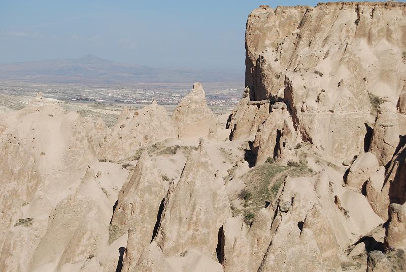 cos_0239.JPG