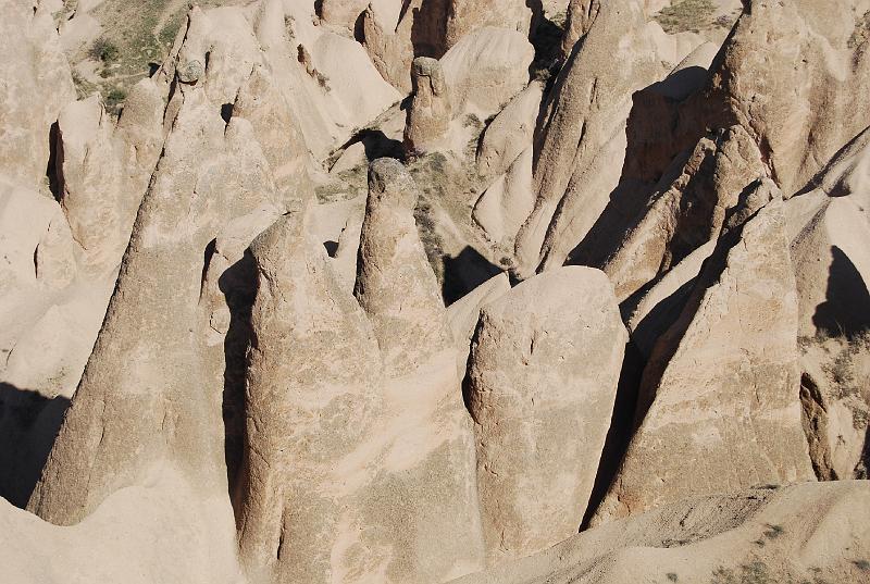 cos_0240.JPG