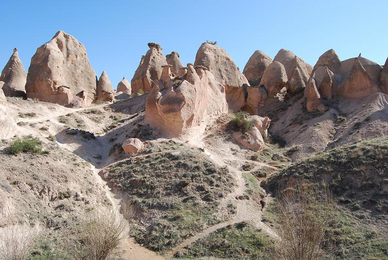 cos_0246.JPG