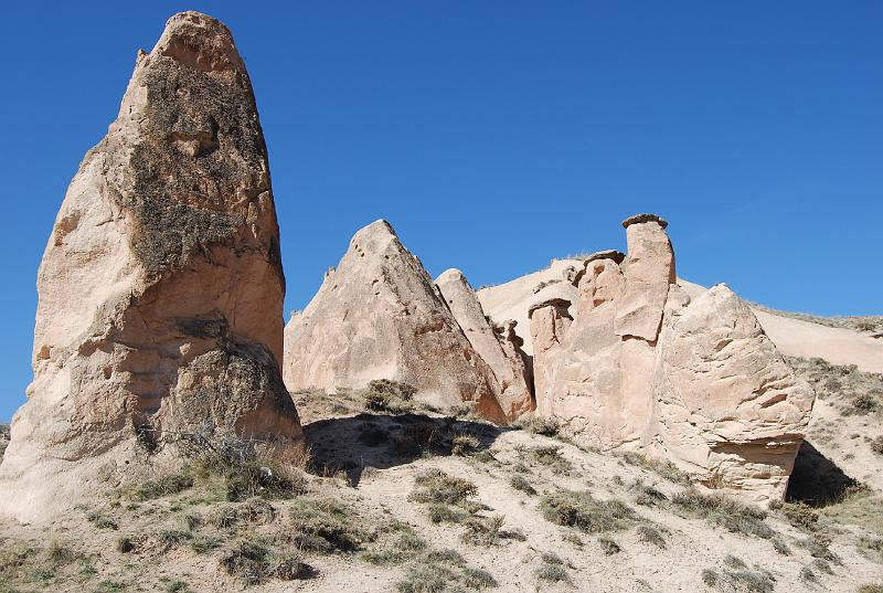 cos_0248.JPG