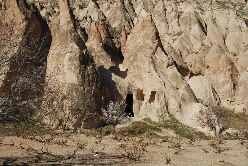 cos_0250.JPG