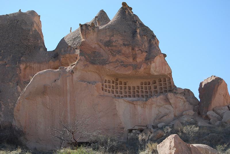 cos_0251.JPG