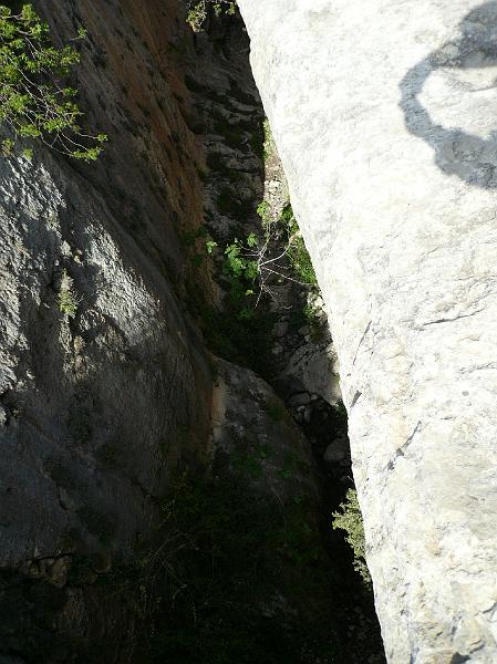 gbs_b342.JPG