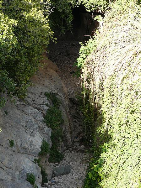 gbs_b348.JPG