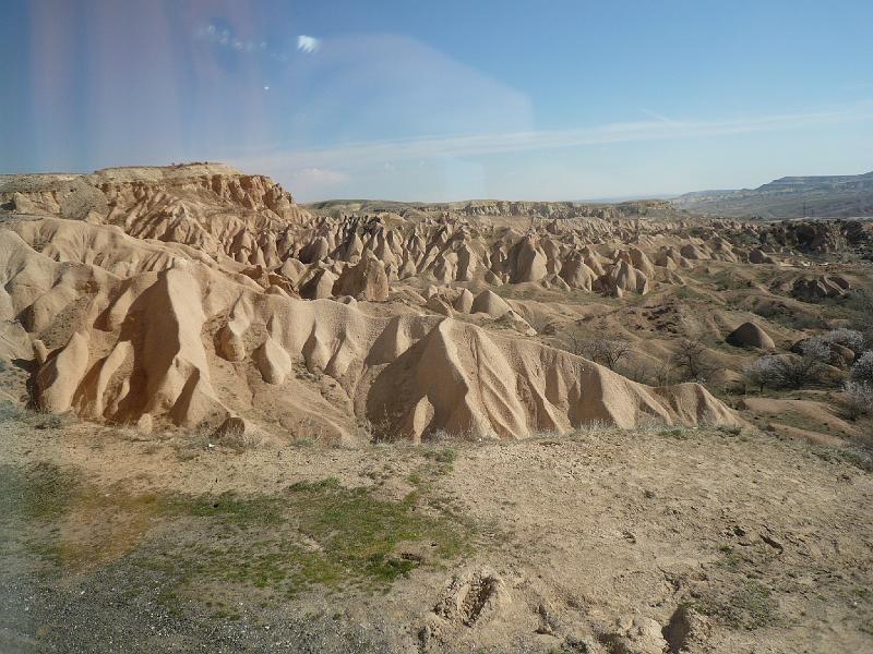 gbs_b607.JPG