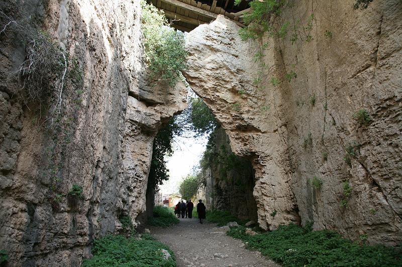 pgs_0339.JPG
