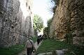 pgs_0338