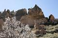 pgs_0506