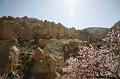pgs_0528