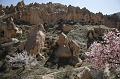 pgs_0529