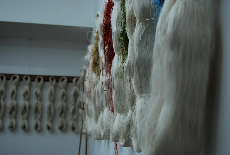 cos_0328.JPG