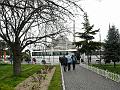 gbs_b048