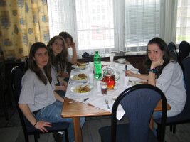 c_dom010