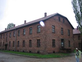c_dom203